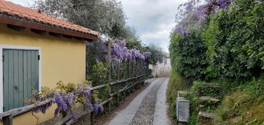 Bewaldete Berglandschaft im Regionalpark von Portofino