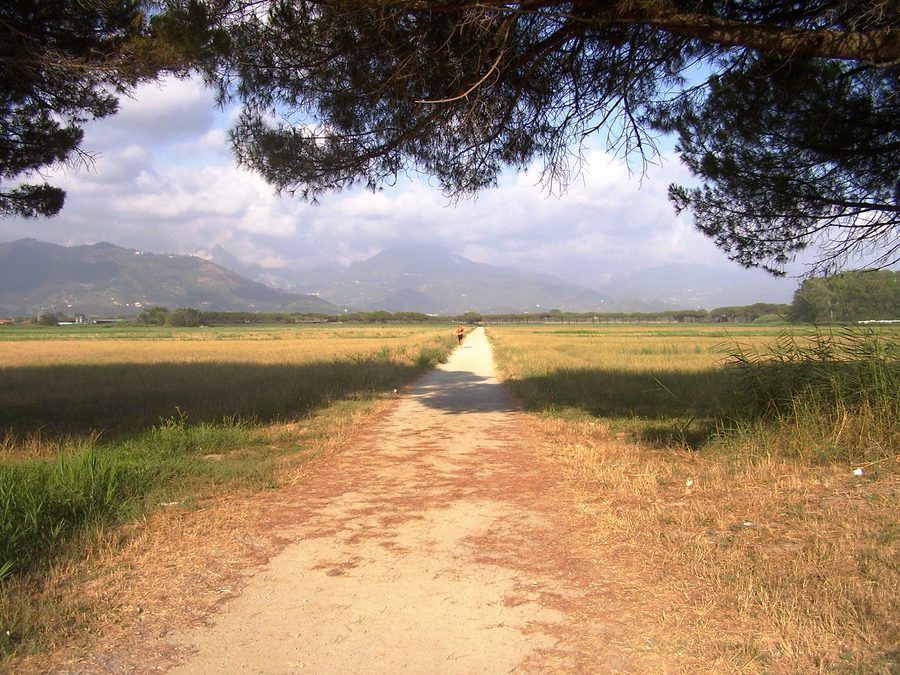 Landwirtschaftliche Landschaft der Tenuta di Marinella