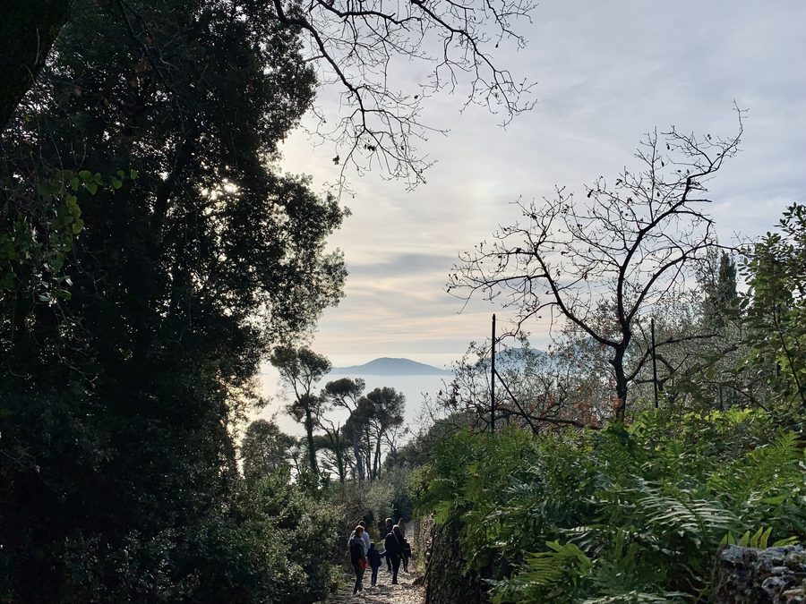 Weg im Regionalpark Montemarcello–Magra