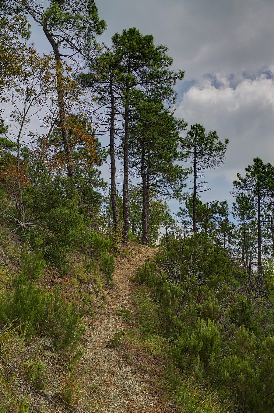 Weg nach Mattarana in der ligurischen Hügellandschaft