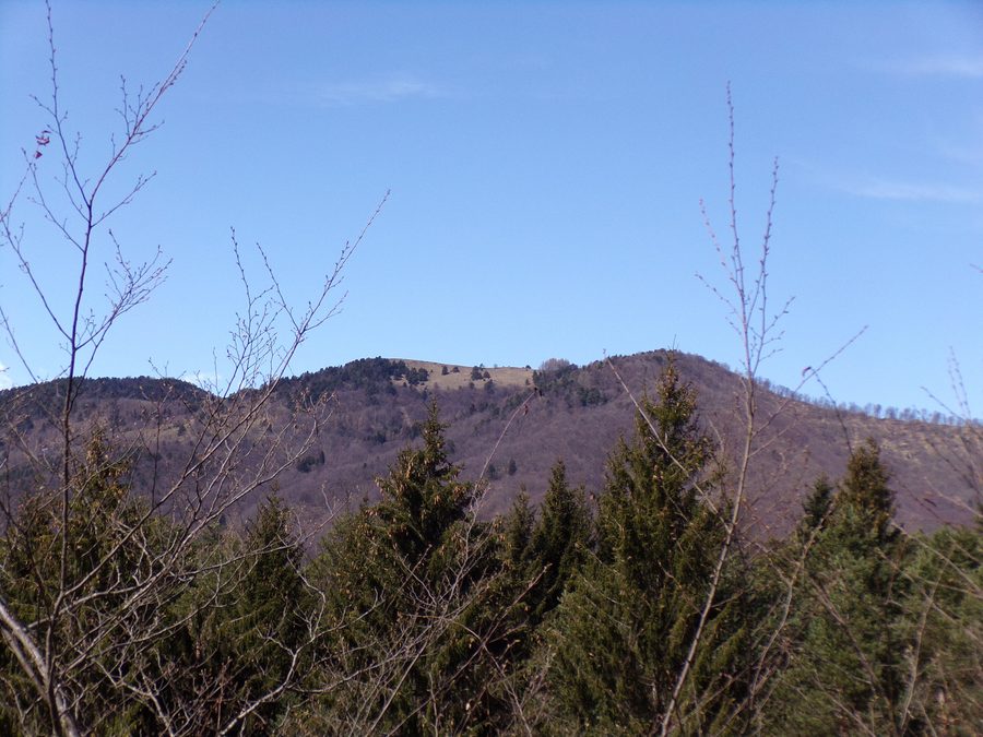 Blick auf die Berglandschaft bei Cosio di Arroscia