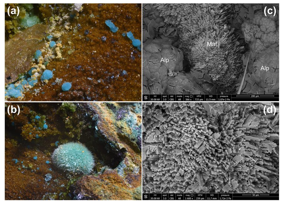 Blaue kugelige Aggregate des Minerals Marioantofilliit aus dem Graveglia-Tal bei Ne