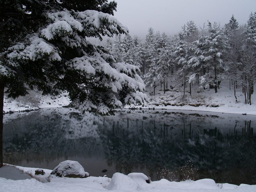 Lago delle Lame in der Wald- und Berglandschaft des Aveto-Raums