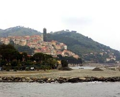 Cervo