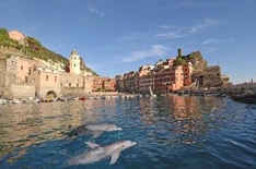 Blick auf Vernazza mit Delfinen Blick auf Vernazza mit Delfinen