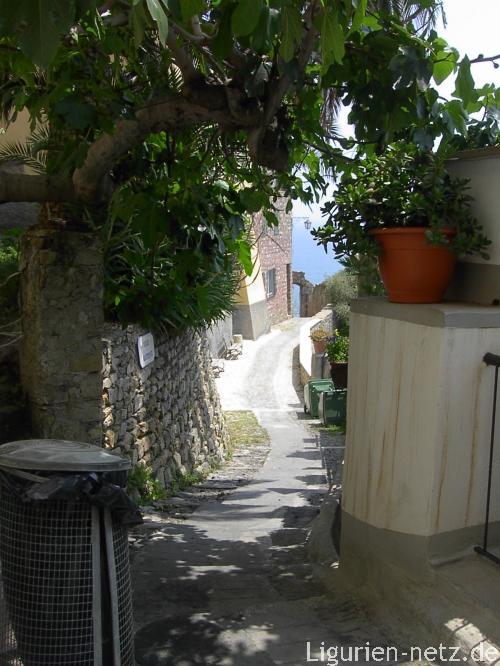 Blick aufs Meer in Cervo