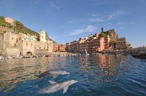 Blick auf Vernazza mit Delfinen